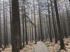 -芦芽山旅游度假区