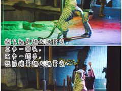 -清迈夜间动物园