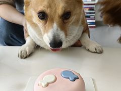 -好利来(团结湖店)