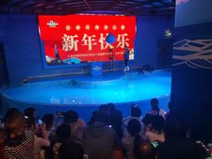 -石家庄海洋公园