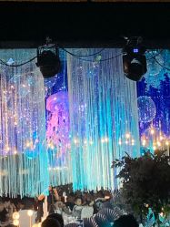 -成都世外桃源酒店-宴会厅·草坪婚礼·会议活动