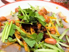 东北大拉皮-玺炖·中国铁锅炖(南京东路店)