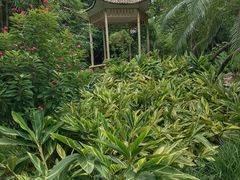 -晓港公园