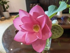 -苏州环秀晓筑养生度假村