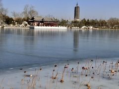 -西海子公园