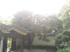 -团城山公园