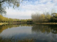 -昆山城市生态森林公园