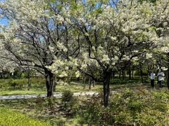 -长春公园(普阳街道)