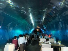 -海棠湾洲际-涛·海底餐厅·美人鱼·自助餐·海底隧道