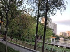 -荔湾湖公园