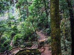 -青城山