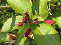 -西湖风景区-江洋畈生态公园