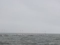 -日照灯塔风景区