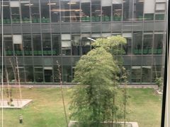 -南京鼓楼医院(鼓楼本部)