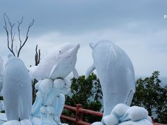 -大澳
