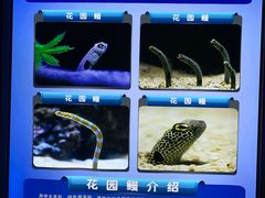 -成都浩海立方海洋公园