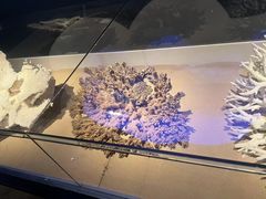 -天津自然博物馆