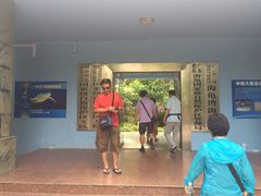 -广东惠东海龟国家级自然保护区