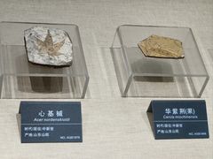 -安徽省地质博物馆