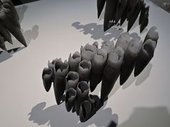 -金泽21世纪美术馆