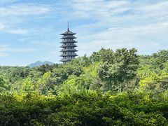 -宜兴龙背山森林公园