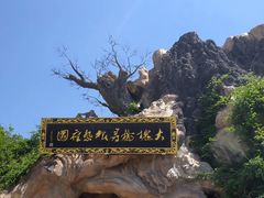 -大槐树寻根祭祖园
