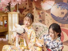 -豆柴町-柴犬主题狗咖(红鼎国际C座店)