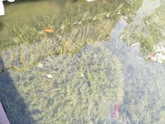 -苏州河梦清园环保主题公园