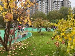 -唐城墙遗址公园