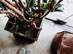 -春庄咖啡SpringHues(钟楼小区店)