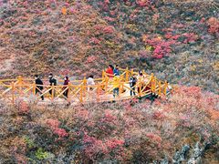 -水峪民俗村