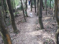 -东钱湖旅游度假区