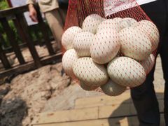 -天芳悦潭度假村温泉