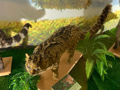 -下渚湖国家湿地公园科普馆