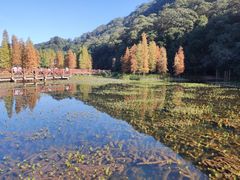 -广州市石门国家森林公园