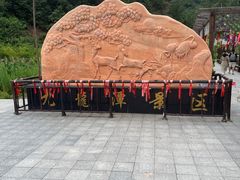 -九龙潭景区