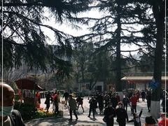 -昆明动物园