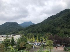 -四川省成都市彭州市白鹿镇