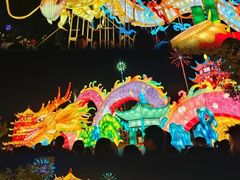 -武汉园博园(武汉自然博物馆)