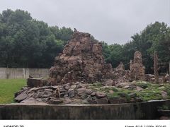 -合肥野生动物园