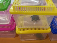 -小天才步步高(泰禾广场旗舰店)