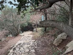 -虞山风景区