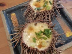 -海胆小馆(东北水饺·春柳店)