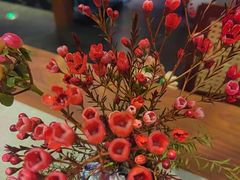 -觅唐MITONG(鸟巢店)