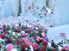 -洛阳白云山景区