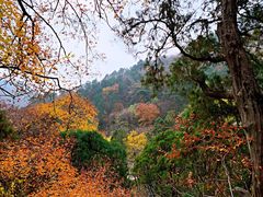 -北京上方山国家森林公园
