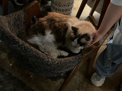 -咖法森林·咖啡  酒吧(天河店)