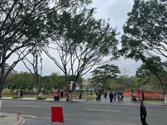 -东莞植物园