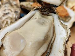 -蚝抵食·湛江生蚝(湾北路店)