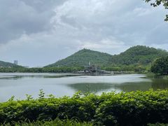 -顺峰山公园